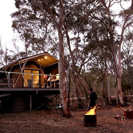 Wallabies Rest Ben Bullen Exteriér fotografie